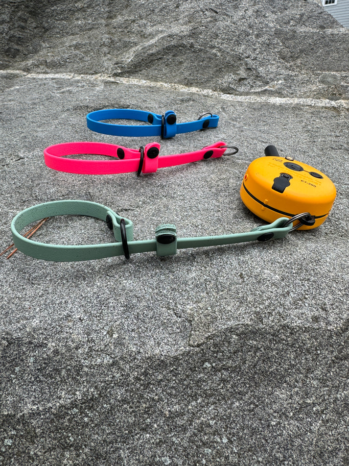 E-Collar Accessories