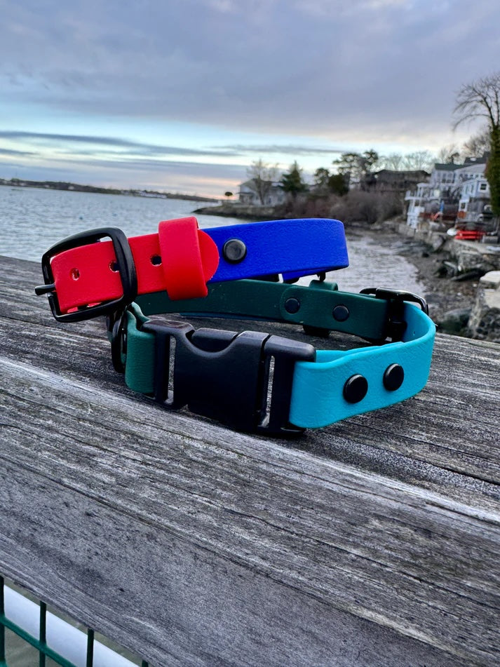 Custom Biothane Two Tone 3/4" Collar