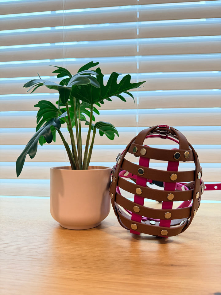 Pre-Made Biothane - 16 In Circumference Muzzle