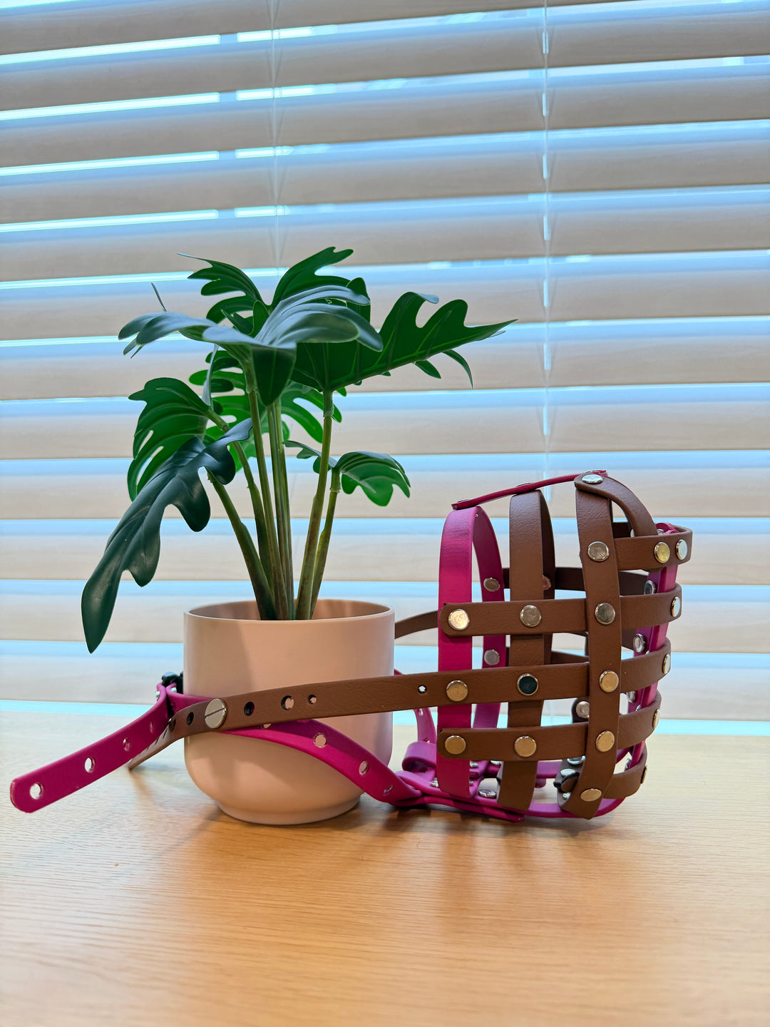 Pre-Made Biothane - 16 In Circumference Muzzle