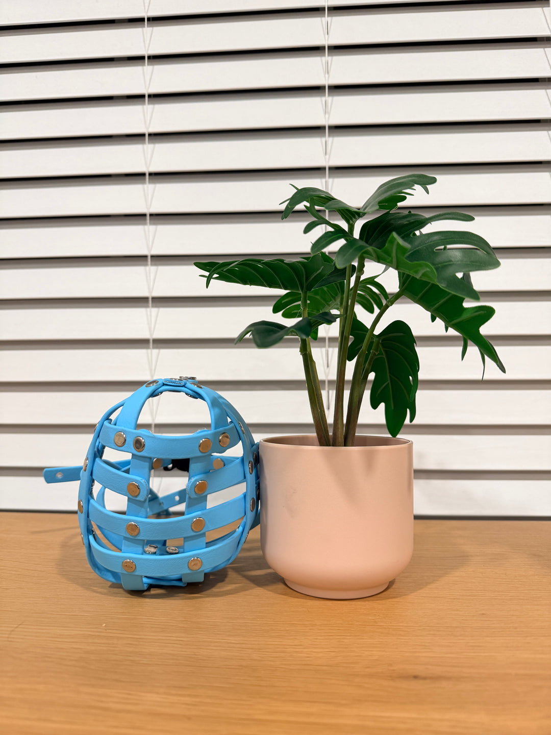 Pre-Made Biothane - 14 Inch Circumference Muzzle