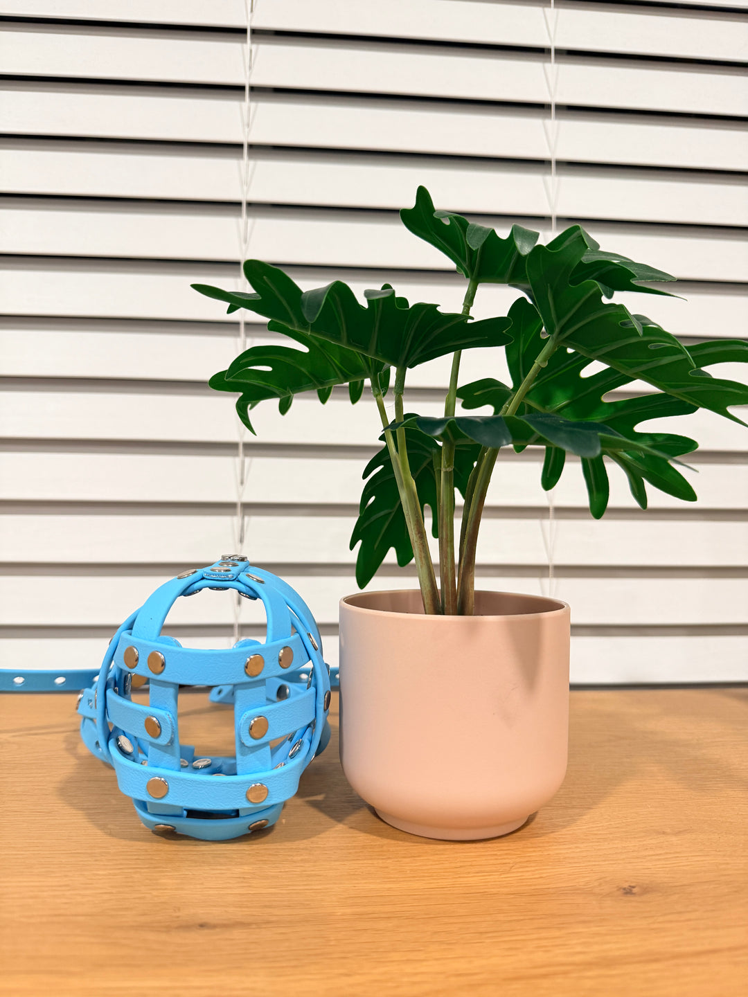 Pre-Made Biothane - 11.5 Inch Circumference Muzzle