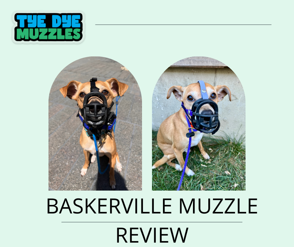 Baskerville Muzzle Review: An Affordable, Customizable Starter Option