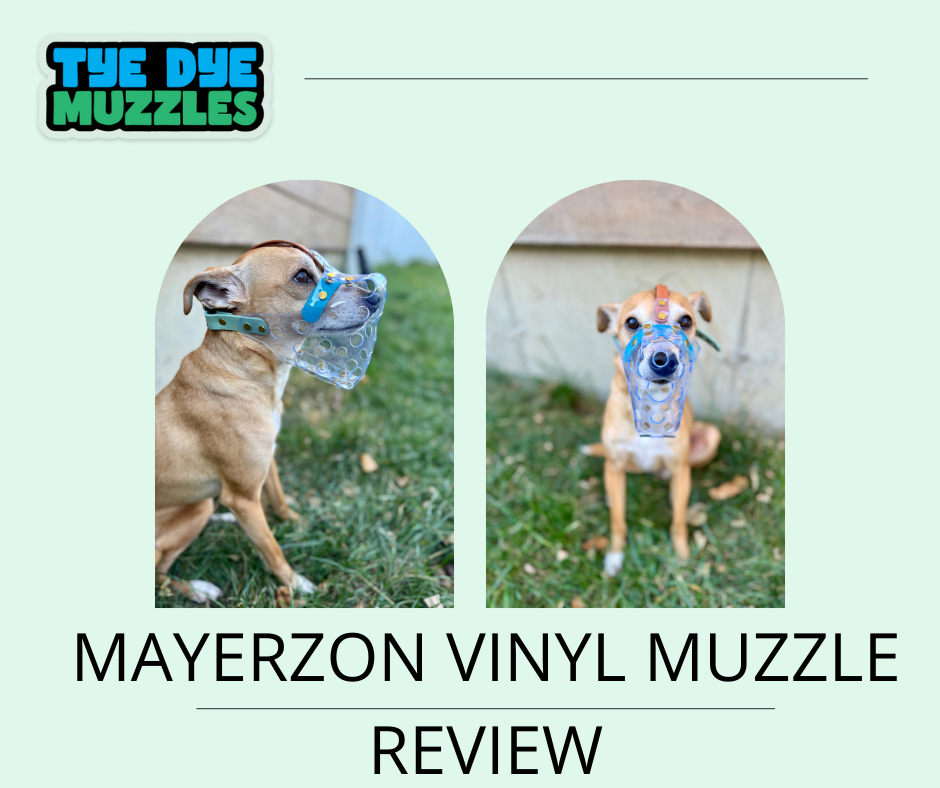 Mayerzon Vinyl Dog Muzzle Review: Affordable Entry-Level Option