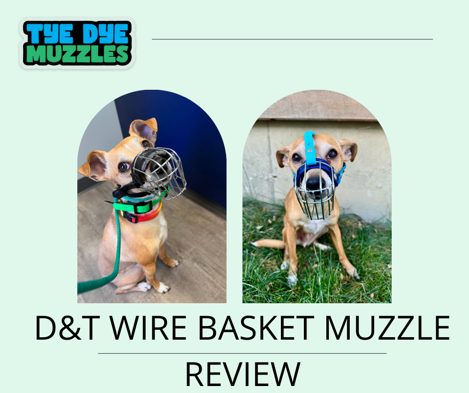 Dean & Tyler Muzzle Review: Bite-Proof Design with Room for Customization