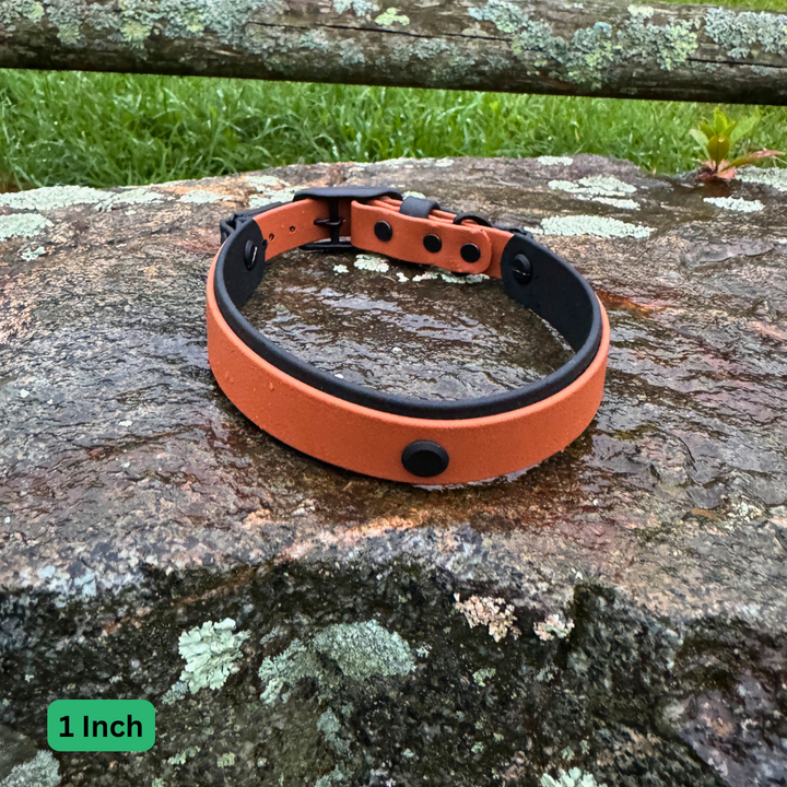 Biothane Two-Layer Handle Collar