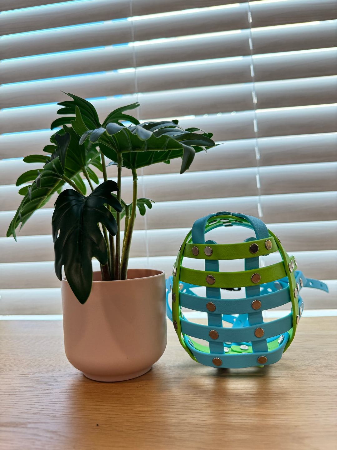 Pre-Made Biothane - 15 In Circumference Muzzle