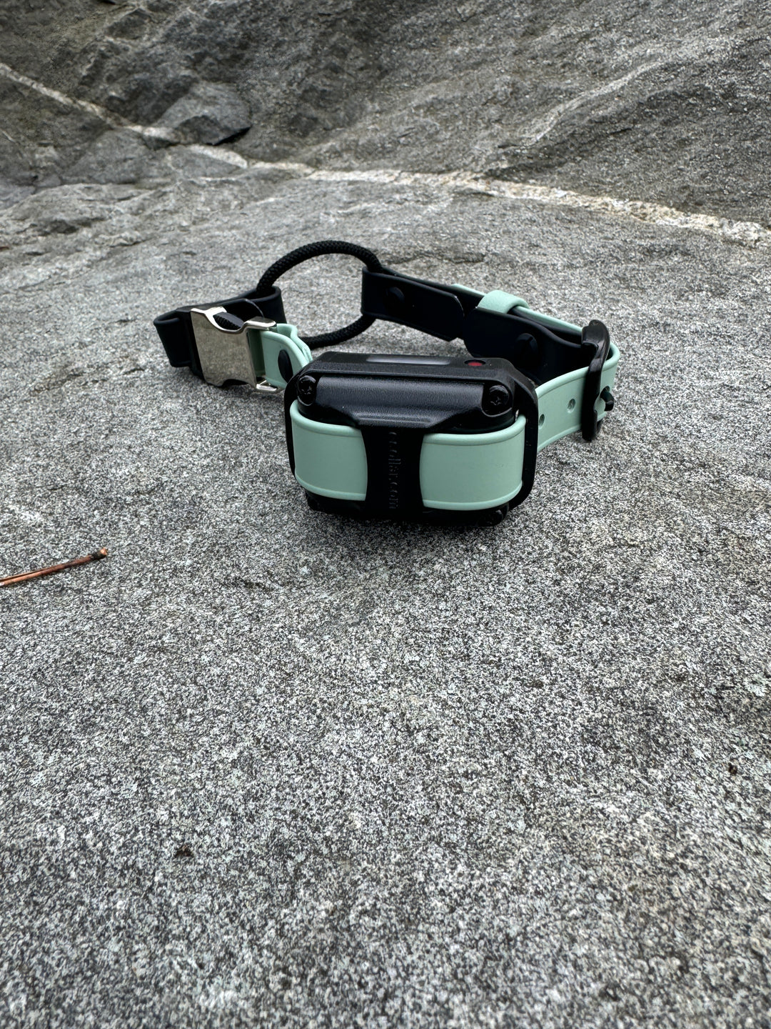 E-Collar Strap With Optional Bungee Loop