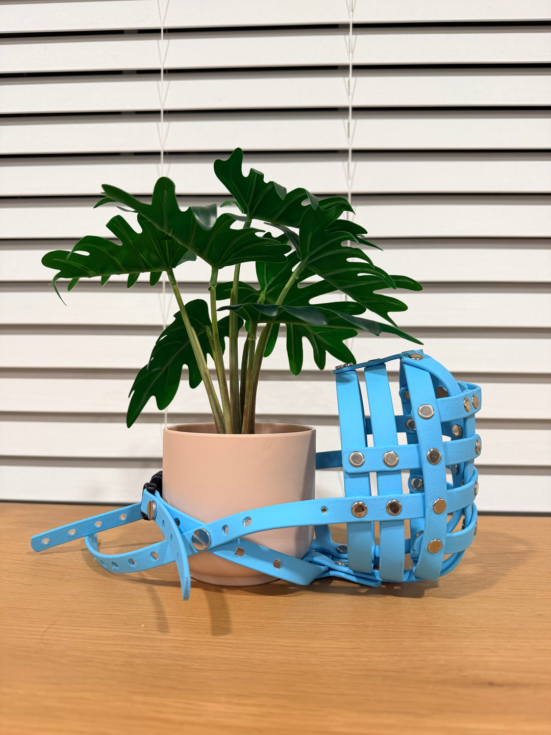 Pre-Made Biothane - 14 Inch Circumference Muzzle