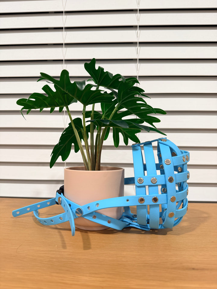 Pre-Made Biothane - 14 Inch Circumference Muzzle