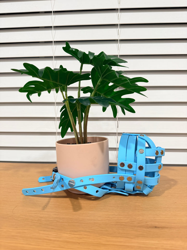 Pre-Made Biothane - 11.5 Inch Circumference Muzzle