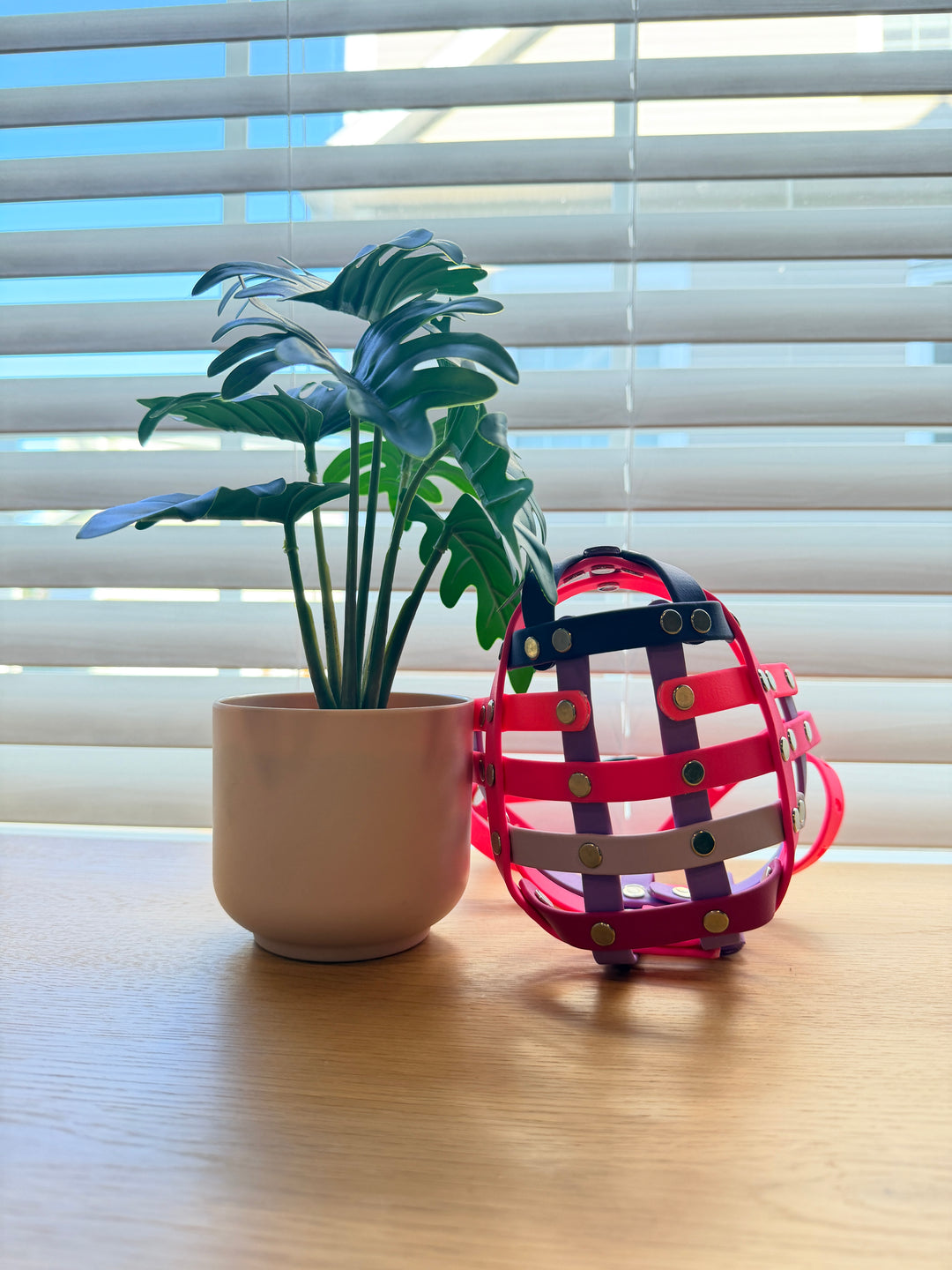 Pre-Made Biothane - 15 Inch Circumference Muzzle