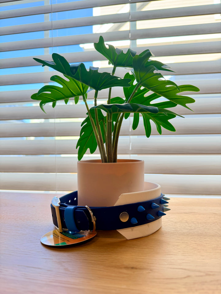 2-Layer Spike Dog Collar – Blue & White (Adjustable 13–17.5")