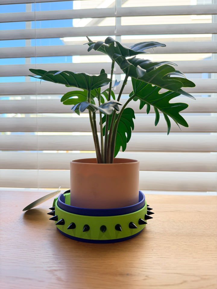 2-Layer Spike Dog Collar – Blue & Green (Adjustable 13.5–20")