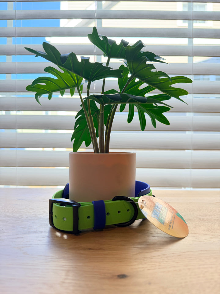 2-Layer Spike Dog Collar – Blue & Green (Adjustable 13.5–20")