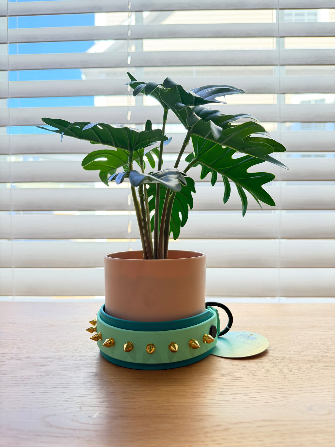 2-Layer Spike Dog Collar – Turquoise & Seafoam (Adjustable 12–15.5")