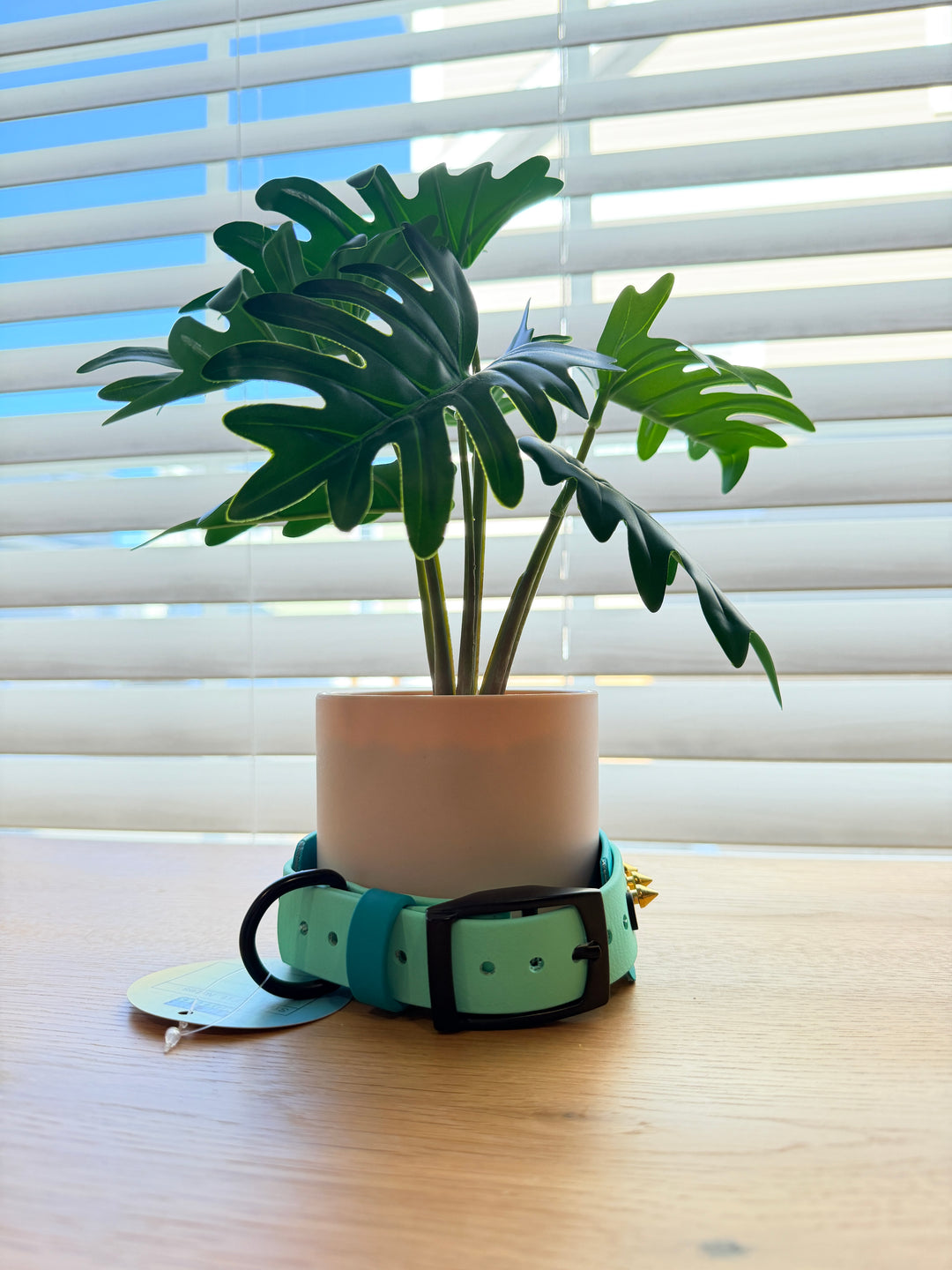 2-Layer Spike Dog Collar – Turquoise & Seafoam (Adjustable 12–15.5")