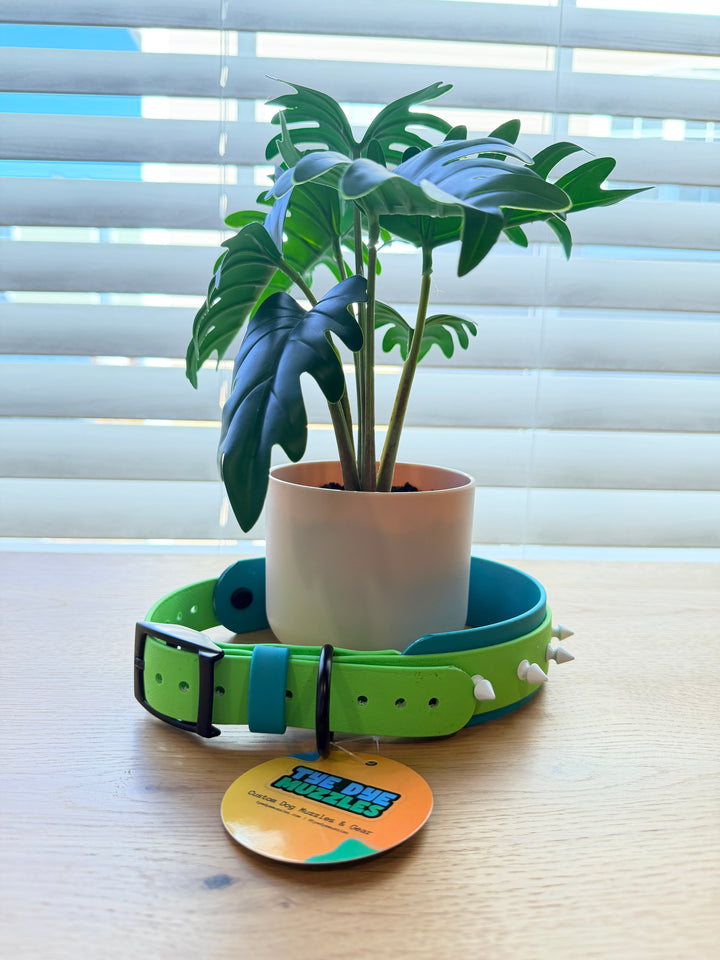 2-Layer Spike Dog Collar – Turquoise & Green (Adjustable 15.5–21")