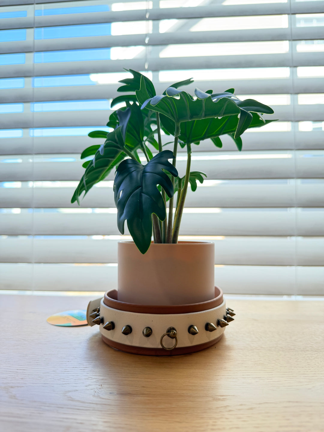 2-Layer Spike Dog Collar – Lt Brown & White (Adjustable 13.5–19")