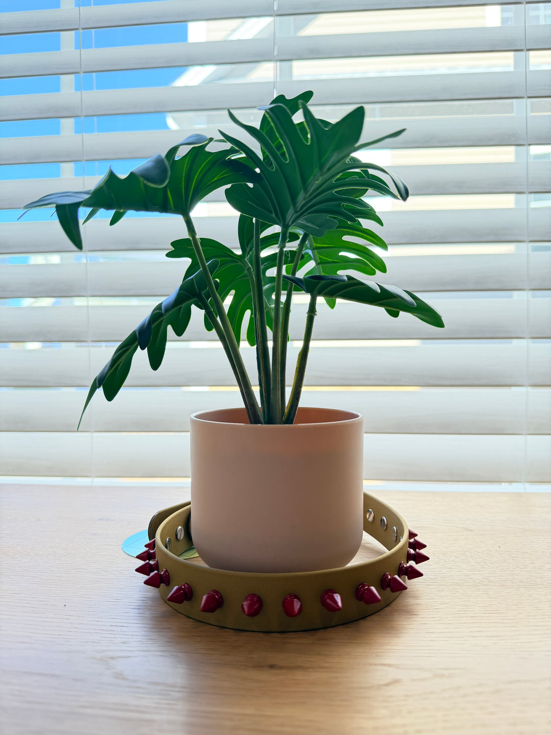 Gold Biothane Spike Collar – Red Spikes – 1 Inch – Adjustable 16–20”