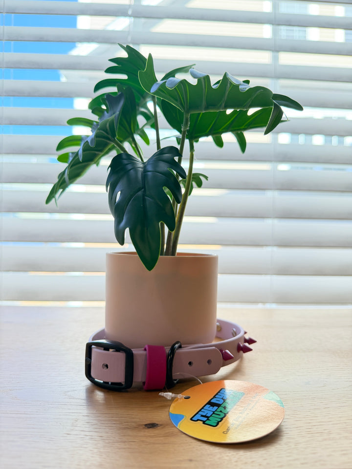 3/4-Inch Lavender Spike Dog Collar – Purple & Pink Spikes (13–18”)