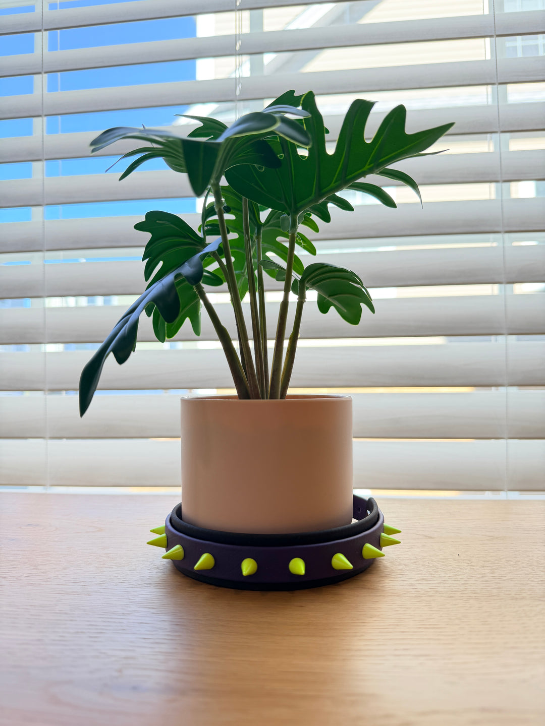 Purple and Black 2 Layer Biothane Spike Collar – Adjustable 12–16”