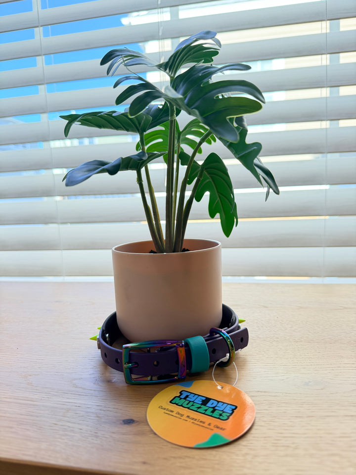 Purple and Black 2 Layer Biothane Spike Collar – Adjustable 12–16”