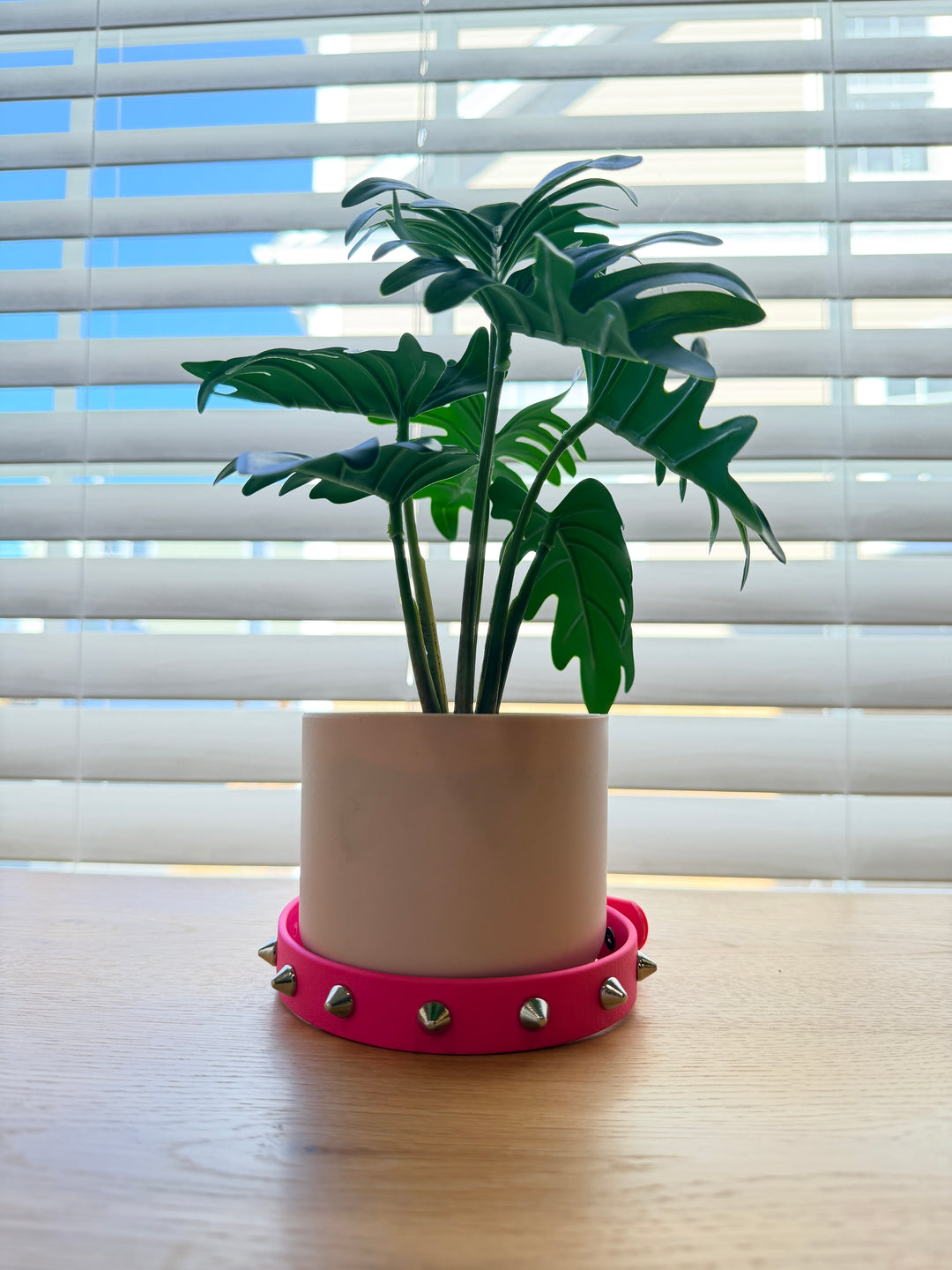 3/4-Inch Pink Spike Dog Collar – Silver Spikes (12–16”)