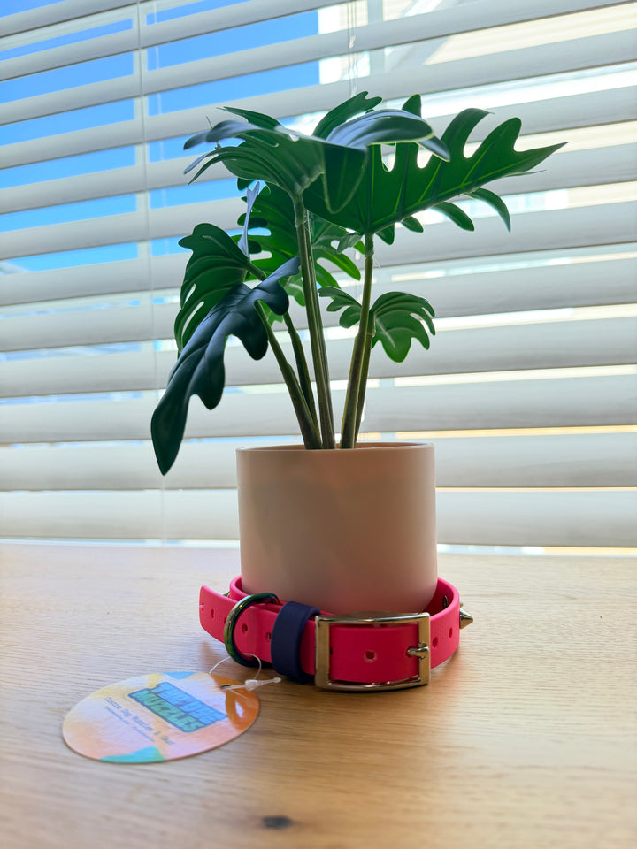 3/4-Inch Pink Spike Dog Collar – Silver Spikes (12–16”)