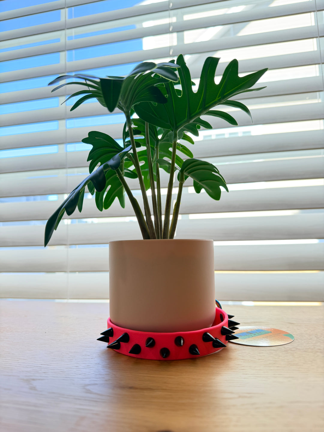 3/4-Inch Pink Spike Dog Collar – Black Spikes - 10-14"