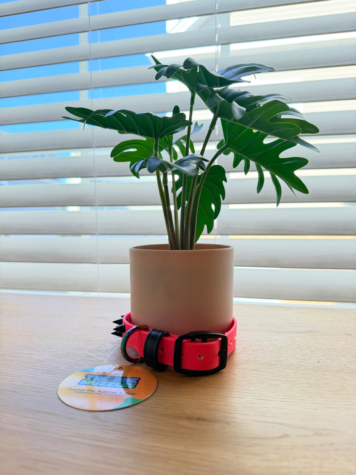 3/4-Inch Pink Spike Dog Collar – Black Spikes - 10-14"