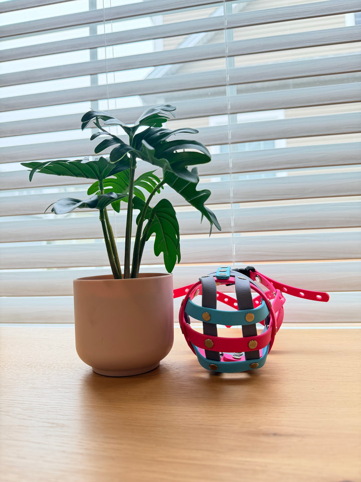 Pre-Made Biothane Muzzle - 10.75 Circumference