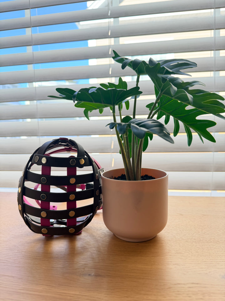 Pre-Made - 16 Inch Circumference Biothane Muzzle