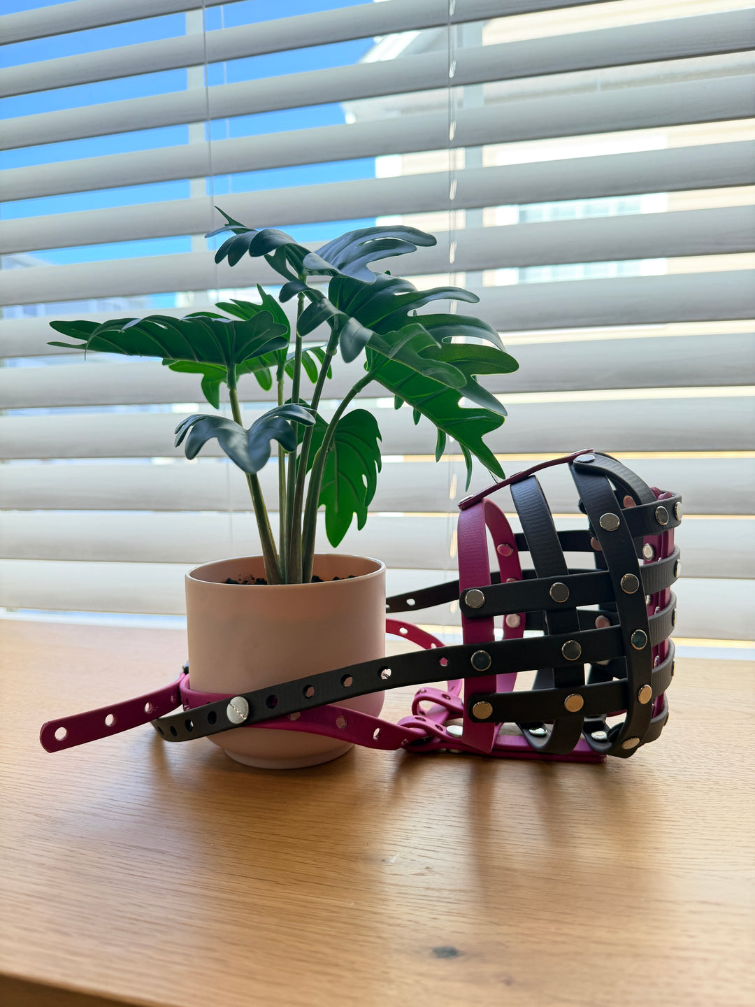 Pre-Made - 16 Inch Circumference Biothane Muzzle