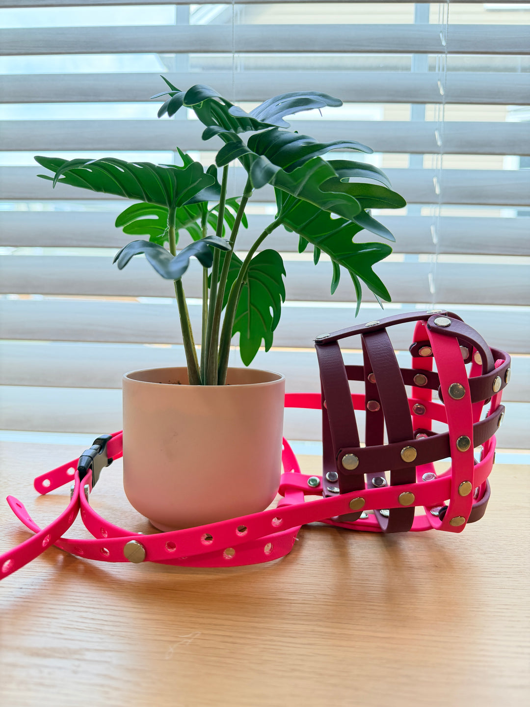 Pre-Made - 14.5 Inch Circumference Biothane Muzzle