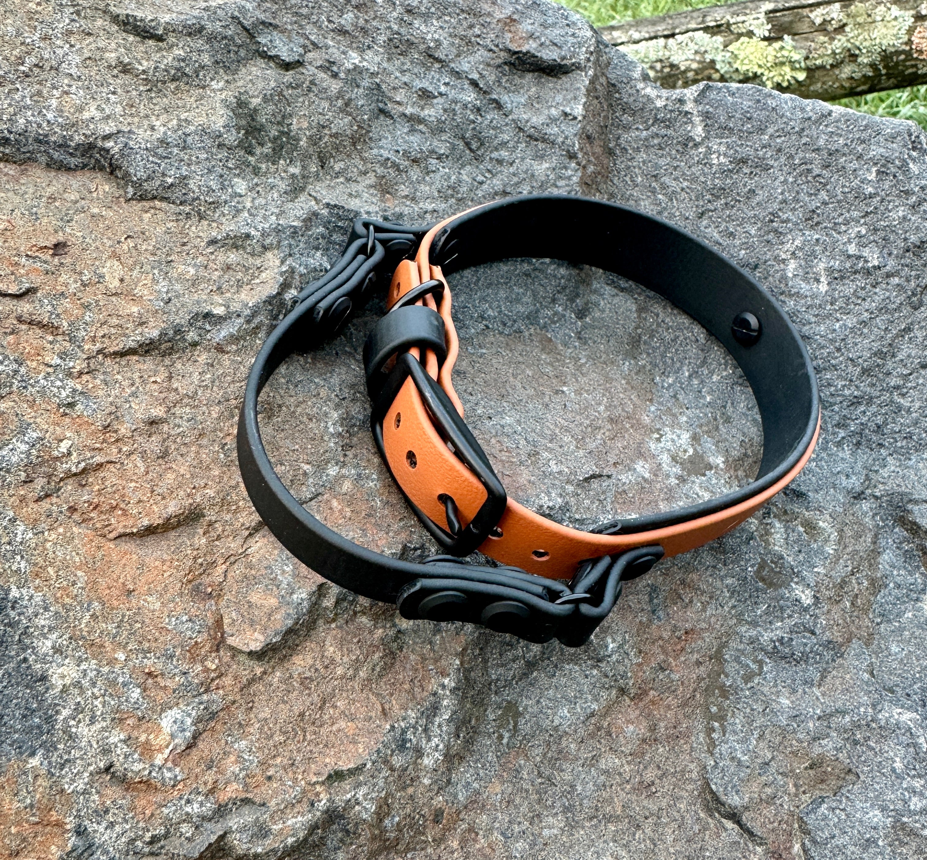 Durable Biothane Handle Dog Collar - Customizable & Waterproof