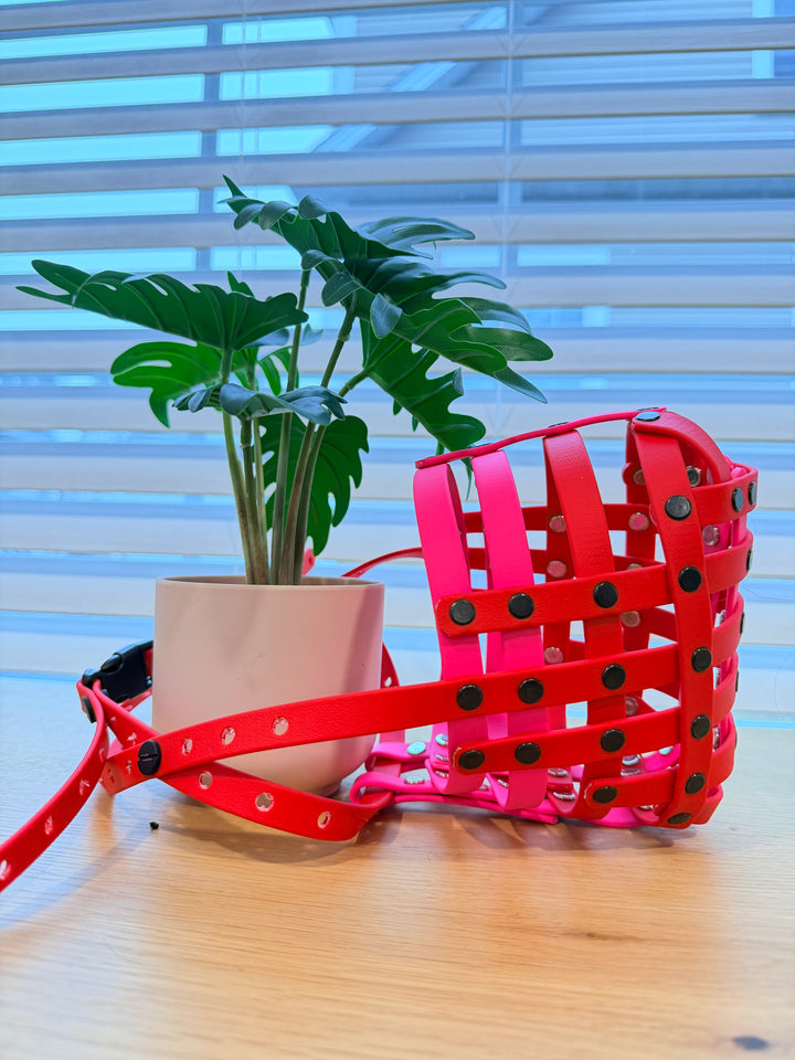 Pre-Made - 17 In Circumference Biothane Muzzle - Long Snout