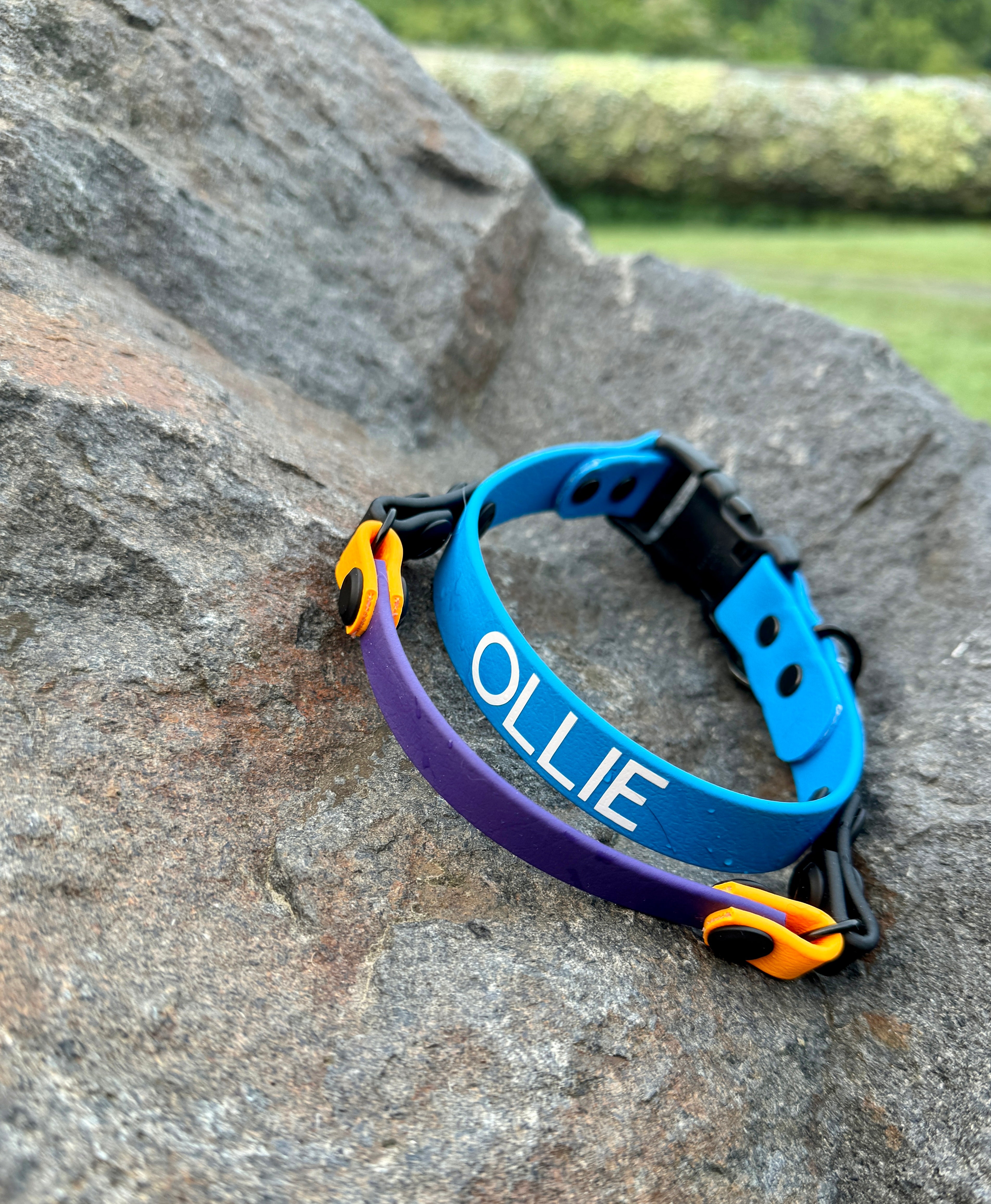 Durable Biothane Handle Dog Collar - Customizable & Waterproof