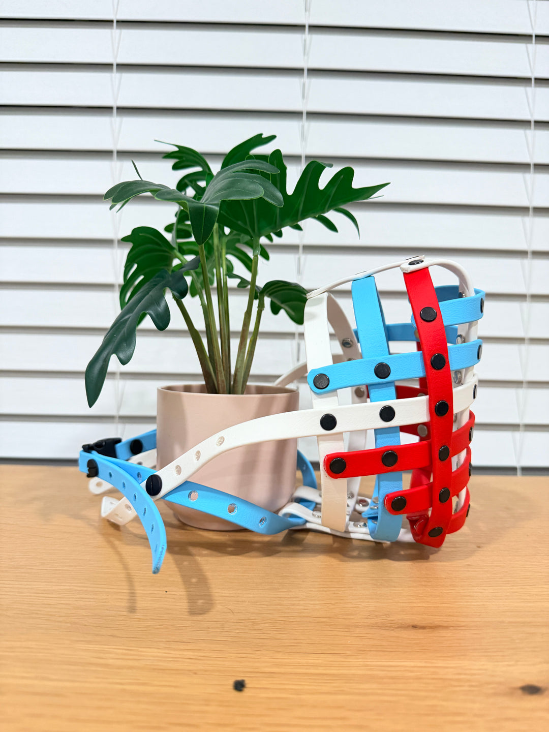 Pre-Made - 18.5 In Circumference Biothane Muzzle