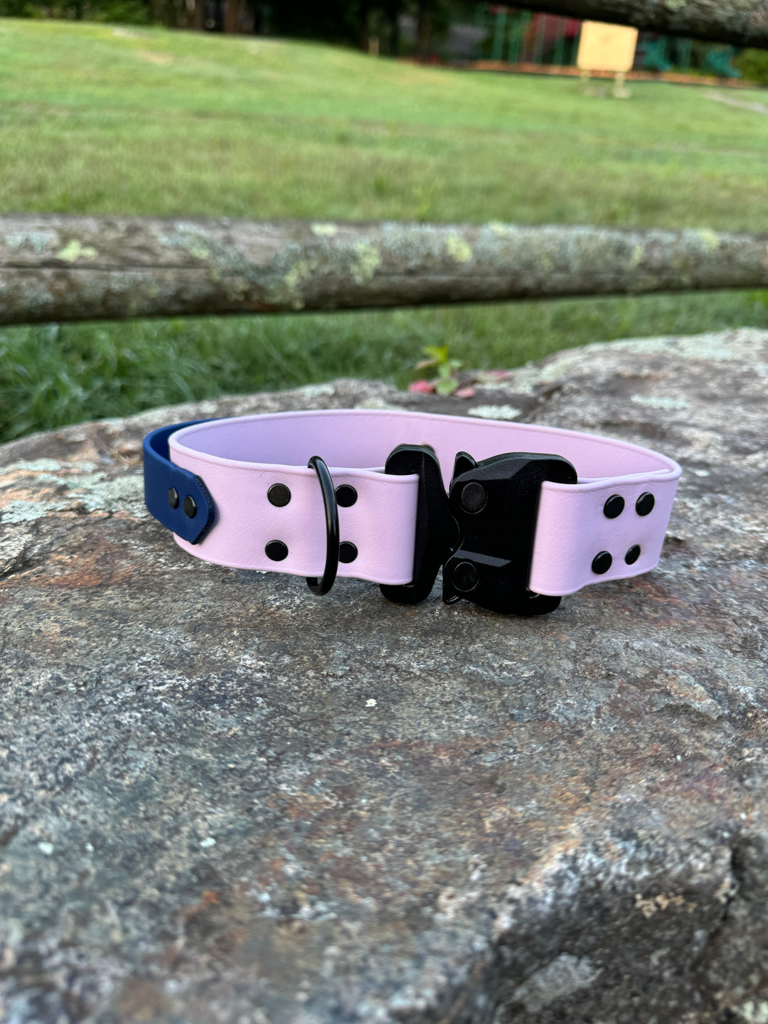 Pre-Made 1.5" Handle Collar 17" With Cobra Buckle