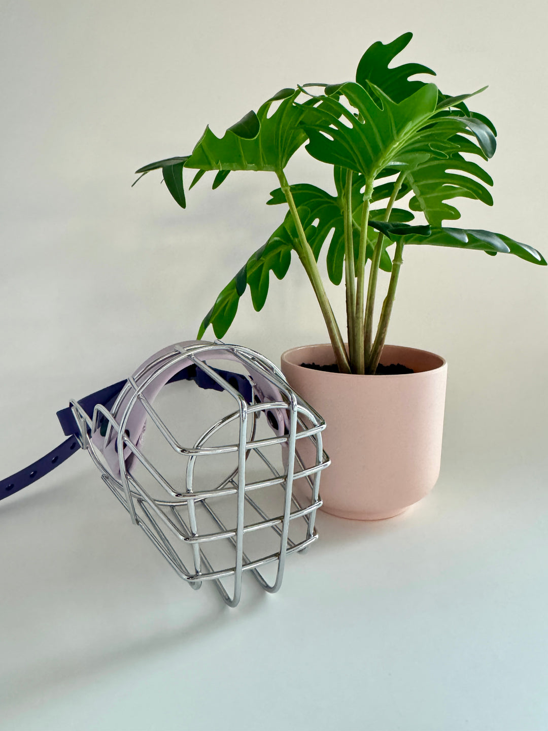 Custom Wire Basket Muzzle