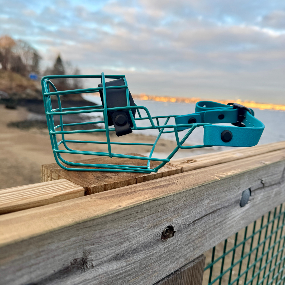 Custom Wire Basket Muzzle